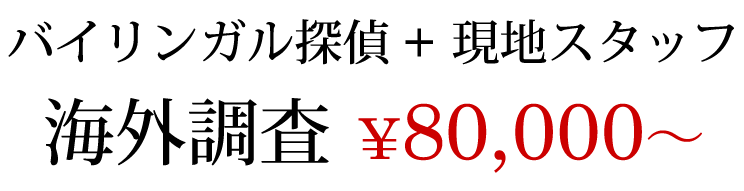 バイリンガル探偵 現地スタッフ 海外調査 80,000円〜