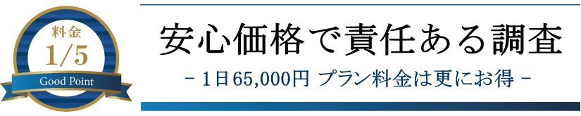 安心価格で責任ある調査
1日65,000円プラン料金は更にお得