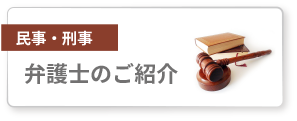 弁護士のご紹介