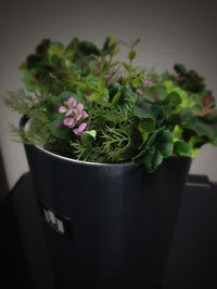 張込みが困難な住宅街等で使用する植木鉢型の監視カメラ